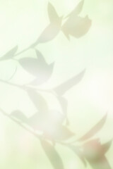 컬러풀한 식물 그림자 배경,표지 이미지