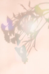 컬러풀한 식물 그림자 배경,표지 이미지