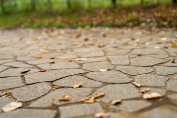 Obraz premium 落ち葉がある石畳の道 秋の風景