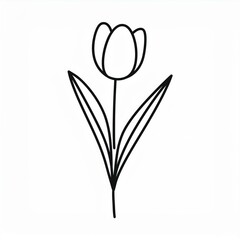 tulip hand drawn outline black illustration isolated on white