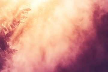 Obraz premium Warm toned abstract foggy sunlight streaming through forest trees creating a dreamlike ethereal atmosphere with a blend of golden and pink hues and a mysterious glow