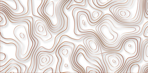 Topographic canyon geometric map relief texture with curved layers and shadow. abstract White background with a beautiful pattern, Topographic contour lines vector map seamless pattern vector.	
