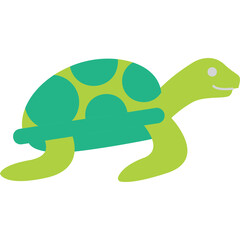 Turtle Illustration