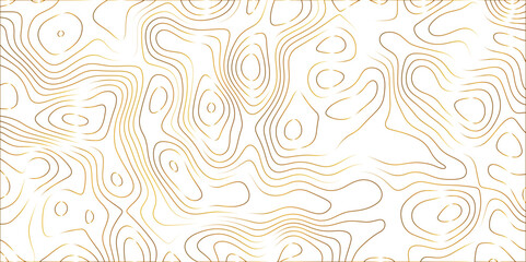 Topographic canyon geometric map relief texture with curved layers and shadow. abstract White background with a beautiful pattern, Topographic contour lines vector map seamless pattern vector.