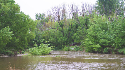 Overflowing river after rain brown fast water in Alexandra New Zealand