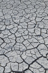 Climate warming dry chapped land