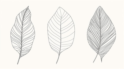 Delicate botanical line art of leaves on a soft beige background