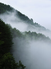 霧の山