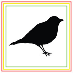 bird silhouette vector design on white background