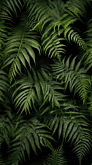 fern leaf background