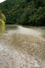 Ashley River: Scenic Waterway and Natural Landscape in New Zealand