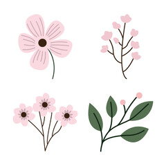 Element Set of Pink Fresh Flower Floral Florist Nature Plant