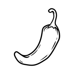 chili peppers drawing coloring line art style sketch classic vintage design illustration