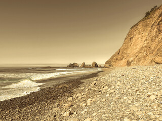 Oregon Coast Tunnel Beach View of the Pacific Ocean; Neutral Landscape