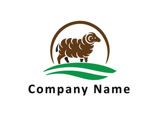 The sheep stands on the hill