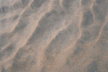 Wet Sand Background: Textured Coastal Surface for Natural Aesthetics