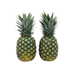 Fototapeta premium Two Fresh Pineapples Isolated on White Background
