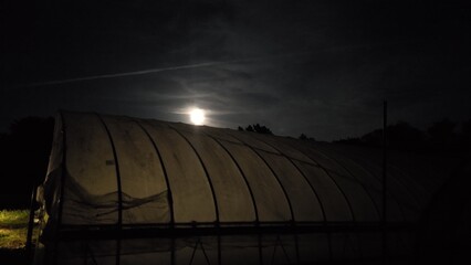 月に照らされたビニールハウス