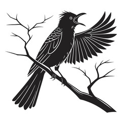 Obraz premium bulbul-a-silhouette-vector-with-white-background