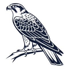 falcon-a-silhouette-vector-with-white-background