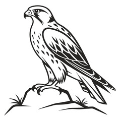 falcon-a-silhouette-vector-with-white-background