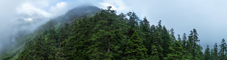 Aerial view of beautiful snow capped mountains and summer forest landscape