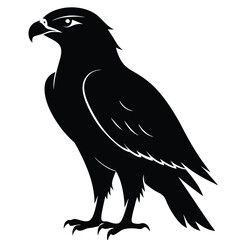 hawk-a-silhouette-vector-with-white-background