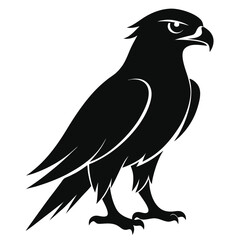 Fototapeta premium hawk-a-silhouette-vector-with-white-background