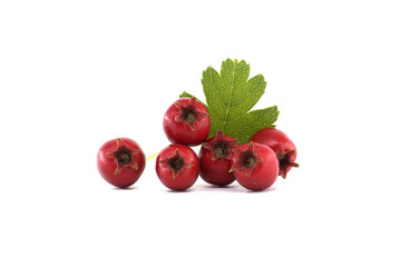 Fresh red common hawthorn berries with green leaves isolated on a white background