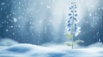 A delicate blue flower emerges from snow, symbolizing resilience in a winter landscape.