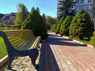 A park bench sitting in the middle of a brick walkway