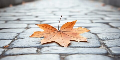 A single brown leaf rests on a cobblestone path, symbolizing autumn's transition.