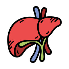 Liver Doodle Illustration