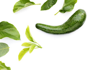Long avocado fruit, Fresh long neck avocado