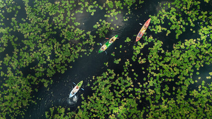 Aerial view of kayaks paddling through a field of lily pads