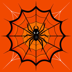 Obraz premium halloween spider web