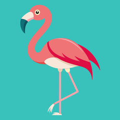 illustration of a flamingo