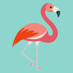 illustration of a flamingo