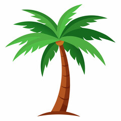 palm tree vector illustration