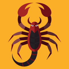 spider