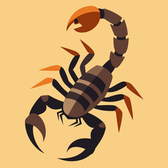 scorpion illustration