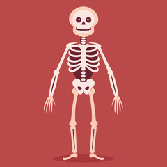 illustration of a skeleton