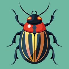 state potato beetle