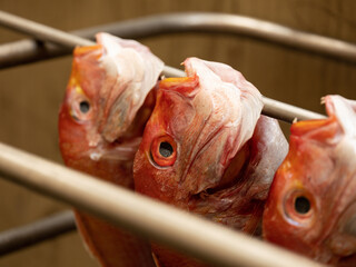 Skewer the fish and dry it