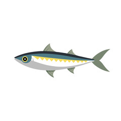 Sardines animal isolated flat vector illustration on white background.