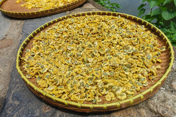 seeds in a bowl