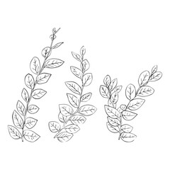 Set of leaves continuous line drawing. Abstract minimal botanical art. Vector illustration.