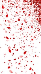 Fototapeta premium A scattering of red rose petals against a white background, creating a romantic and elegant feel.