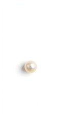 Shiny single pearl isolated on crisp white background, closeup, isolated, jewelry