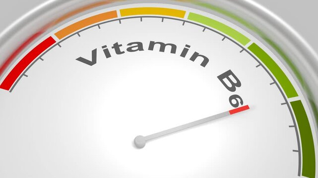 Vitamin B6 level on measure scale. Instrument scale with arrow. Pyridoxine, pyridoxamine or pyridoxal food supplement, chemistry science and medicine. Vitamin B6 essential nutrient